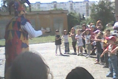5dg-image (6)